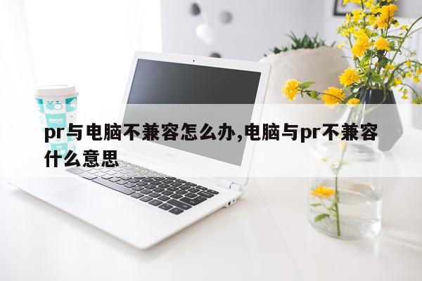 pr与电脑不兼容怎么办,电脑与pr不兼容什么意思
