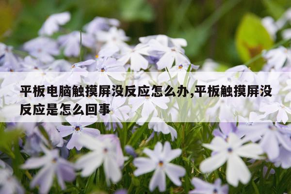 平板电脑触摸屏没反应怎么办,平板触摸屏没反应是怎么回事