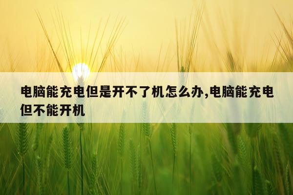 电脑能充电但是开不了机怎么办,电脑能充电但不能开机