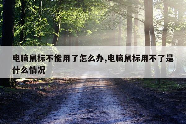 电脑鼠标不能用了怎么办,电脑鼠标用不了是什么情况