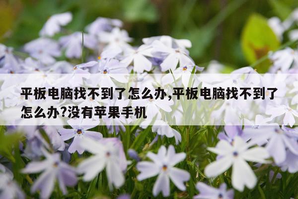 平板电脑找不到了怎么办,平板电脑找不到了怎么办?没有苹果手机