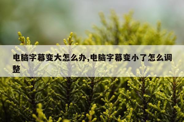 电脑字幕变大怎么办,电脑字幕变小了怎么调整