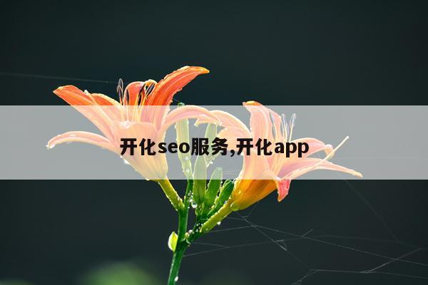 开化seo服务,开化app