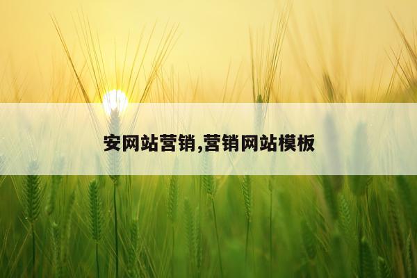 安网站营销,营销网站模板