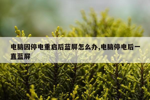 电脑因停电重启后蓝屏怎么办,电脑停电后一直蓝屏