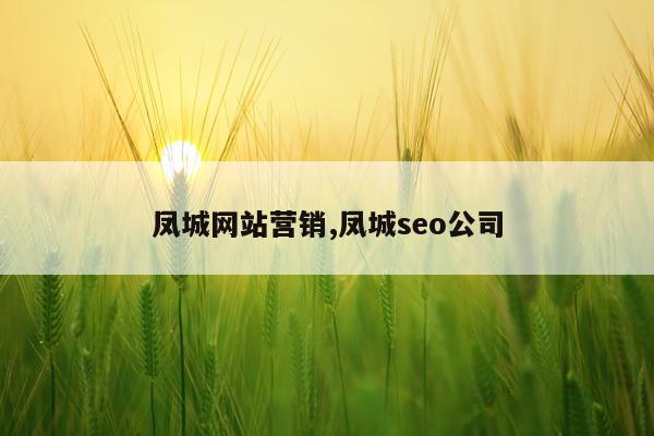 凤城网站营销,凤城seo公司