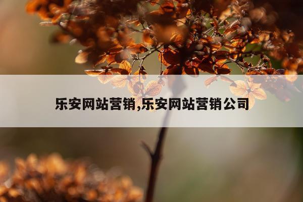 乐安网站营销,乐安网站营销公司