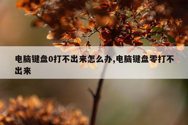 电脑键盘0打不出来怎么办,电脑键盘零打不出来