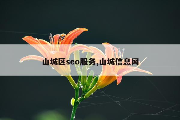 山城区seo服务,山城信息网