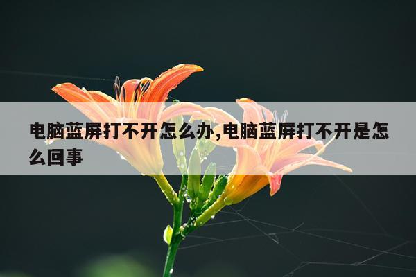 电脑蓝屏打不开怎么办,电脑蓝屏打不开是怎么回事
