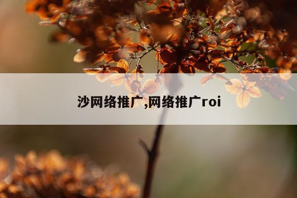 沙网络推广,网络推广roi