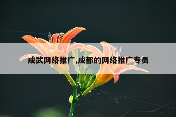 成武网络推广,成都的网络推广专员