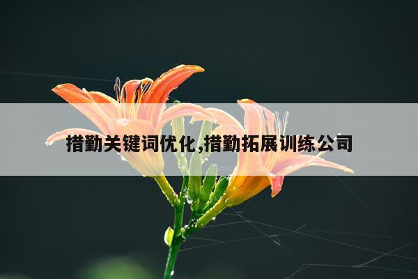措勤关键词优化,措勤拓展训练公司