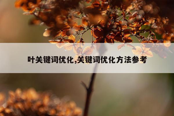 叶关键词优化,关键词优化方法参考