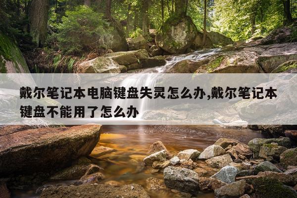 戴尔笔记本电脑键盘失灵怎么办,戴尔笔记本键盘不能用了怎么办