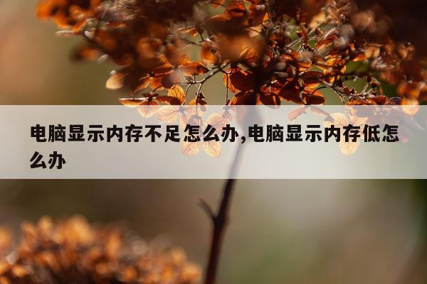 电脑显示内存不足怎么办,电脑显示内存低怎么办