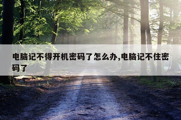 电脑记不得开机密码了怎么办,电脑记不住密码了
