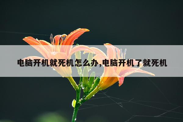 电脑开机就死机怎么办,电脑开机了就死机