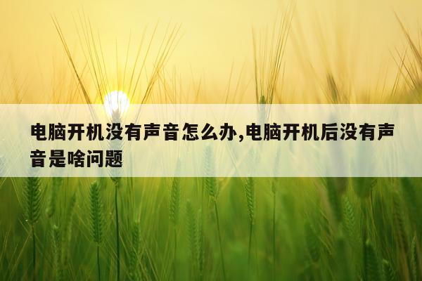 电脑开机没有声音怎么办,电脑开机后没有声音是啥问题
