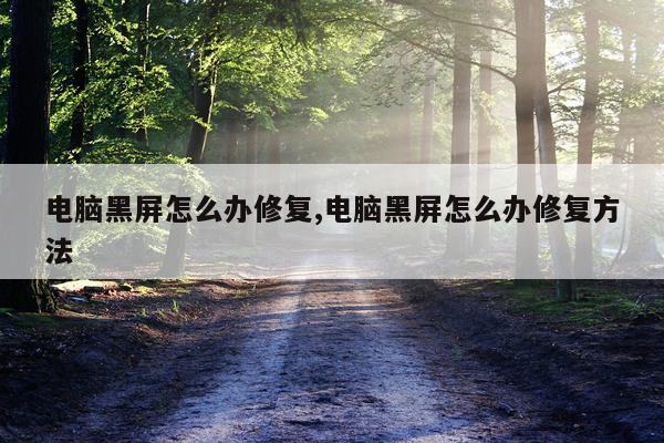 电脑黑屏怎么办修复,电脑黑屏怎么办修复方法