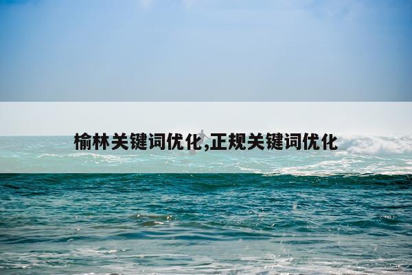 榆林关键词优化,正规关键词优化