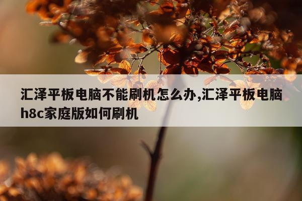 汇泽平板电脑不能刷机怎么办,汇泽平板电脑h8c家庭版如何刷机