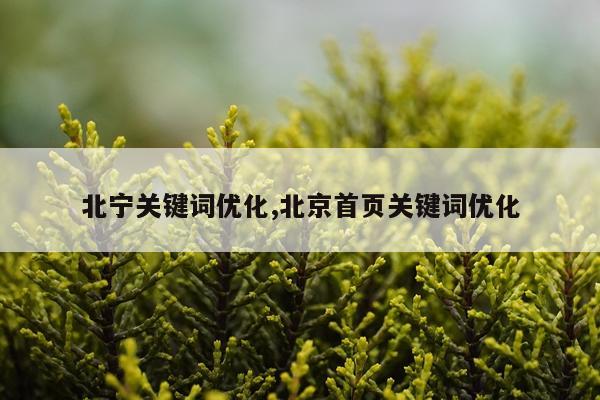 北宁关键词优化,北京首页关键词优化
