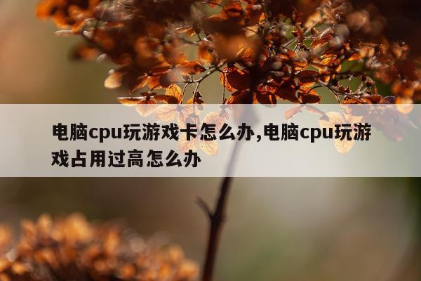 电脑cpu玩游戏卡怎么办,电脑cpu玩游戏占用过高怎么办