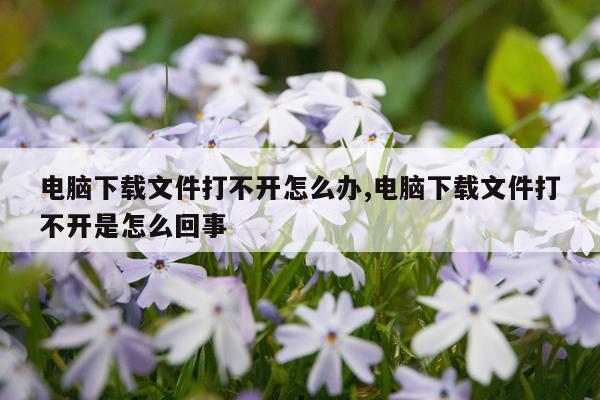 电脑下载文件打不开怎么办,电脑下载文件打不开是怎么回事