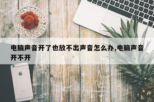 电脑声音开了也放不出声音怎么办,电脑声音开不开