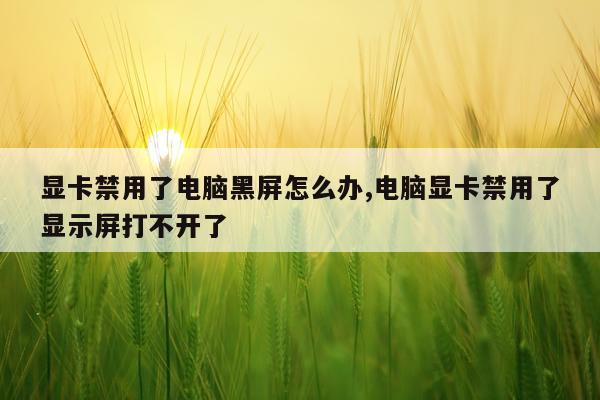 显卡禁用了电脑黑屏怎么办,电脑显卡禁用了显示屏打不开了