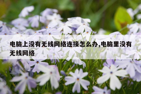电脑上没有无线网络连接怎么办,电脑里没有无线网络