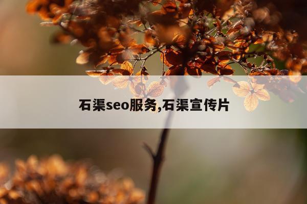 石渠seo服务,石渠宣传片