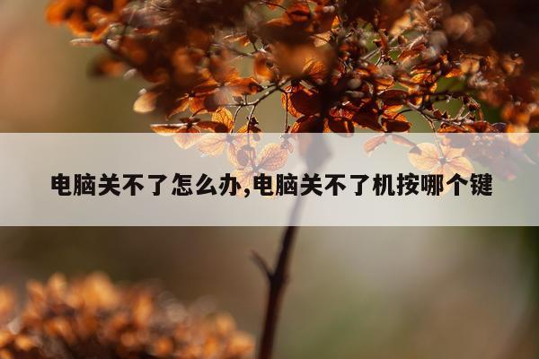 电脑关不了怎么办,电脑关不了机按哪个键