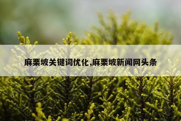 麻栗坡关键词优化,麻栗坡新闻网头条