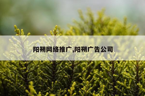 阳朔网络推广,阳朔广告公司