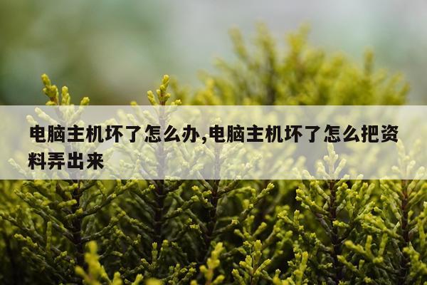 电脑主机坏了怎么办,电脑主机坏了怎么把资料弄出来