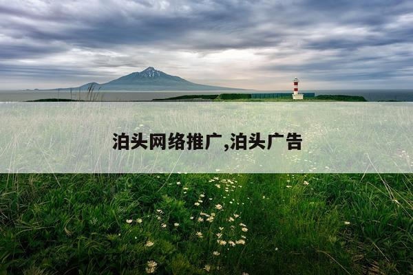 泊头网络推广,泊头广告