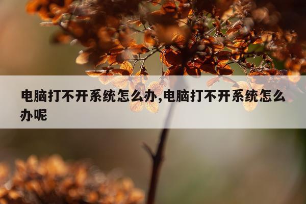 电脑打不开系统怎么办,电脑打不开系统怎么办呢