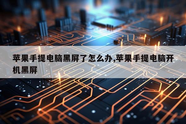 苹果手提电脑黑屏了怎么办,苹果手提电脑开机黑屏