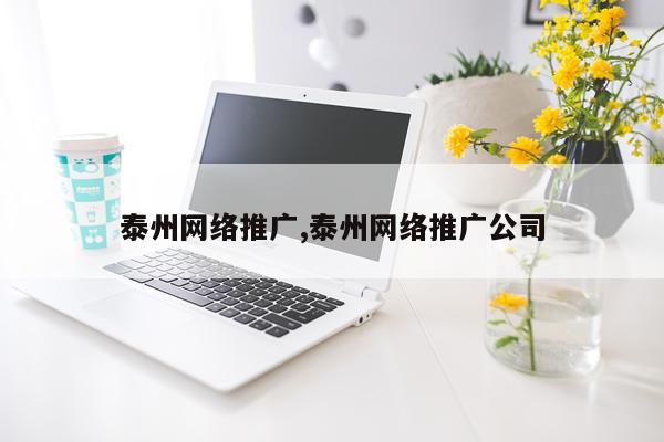 泰州网络推广,泰州网络推广公司