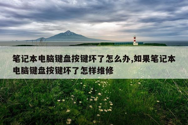 笔记本电脑键盘按键坏了怎么办,如果笔记本电脑键盘按键坏了怎样维修