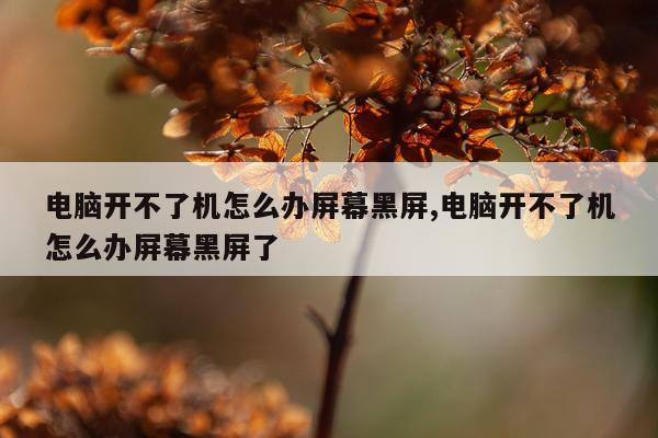 电脑开不了机怎么办屏幕黑屏,电脑开不了机怎么办屏幕黑屏了