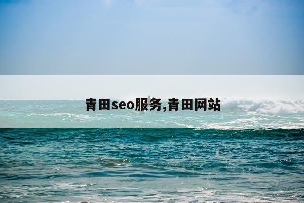 青田seo服务,青田网站
