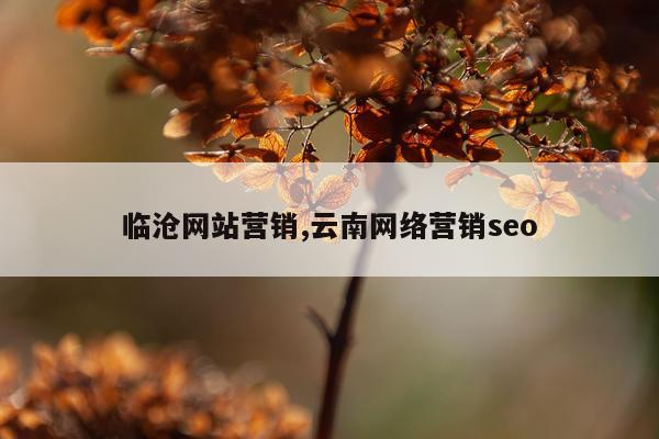 临沧网站营销,云南网络营销seo
