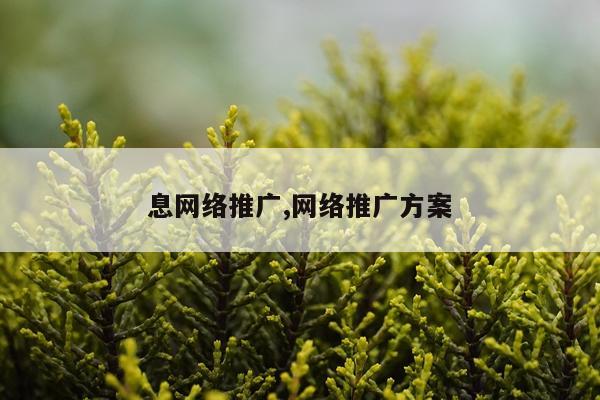 息网络推广,网络推广方案