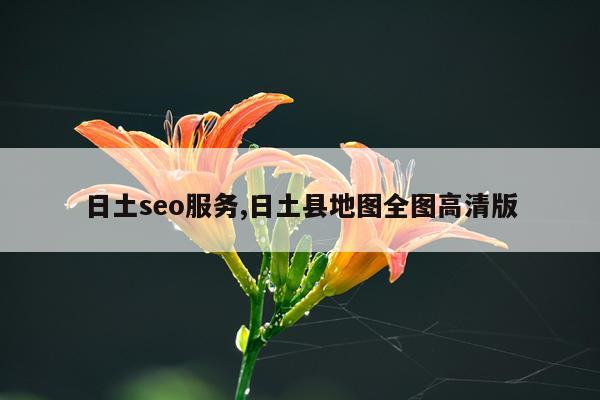 日土seo服务,日土县地图全图高清版