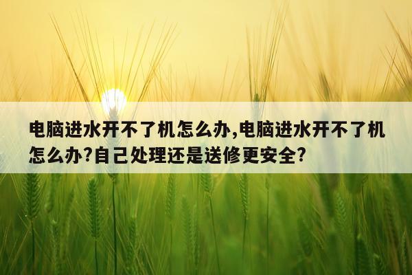 电脑进水开不了机怎么办,电脑进水开不了机怎么办?自己处理还是送修更安全?