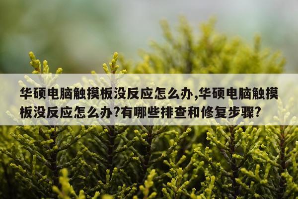 华硕电脑触摸板没反应怎么办,华硕电脑触摸板没反应怎么办?有哪些排查和修复步骤?
