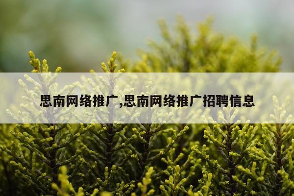 思南网络推广,思南网络推广招聘信息